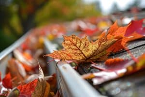 home maintenance tips clean your gutters