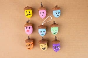 acorns with faces