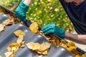 leaves in gutter